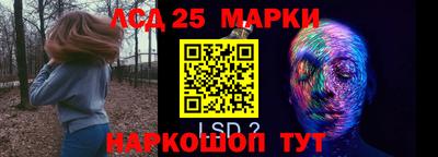 PSILOCYBIN Конаково