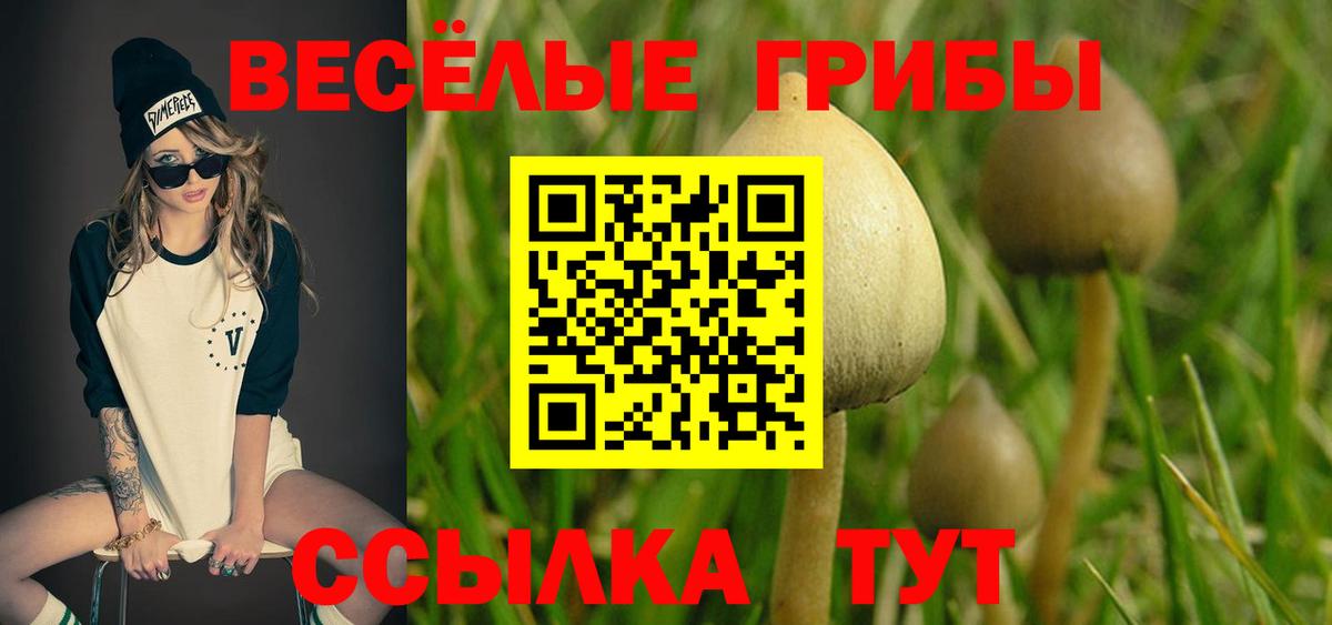 Якутск  Галлюциногенные грибы прущие грибы  Вход с VPN 