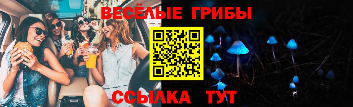 Галлюциногенные грибы MAGIC MUSHROOMS Якутск
